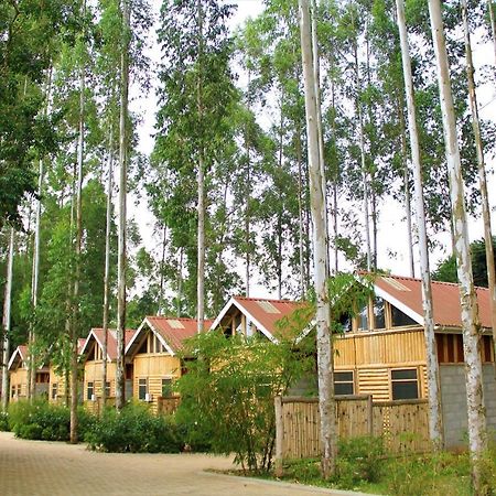 Hotel The Great Outdoors Uganda Vumba Exteriér fotografie